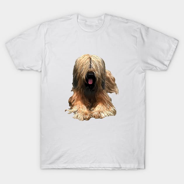 Briard The Stylish Look T-Shirt by ElegantCat